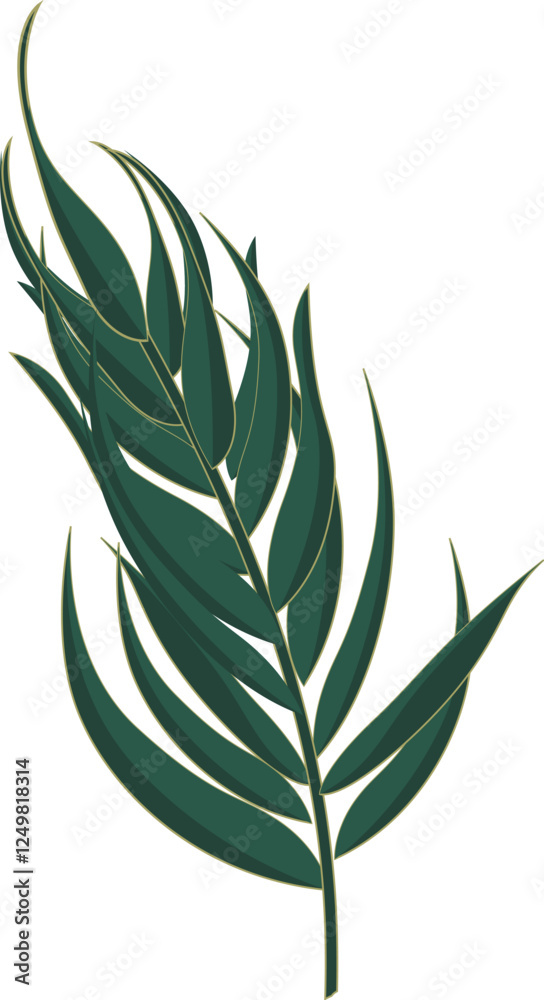 Fototapeta premium Elegant Dark Green Leaf Illustration