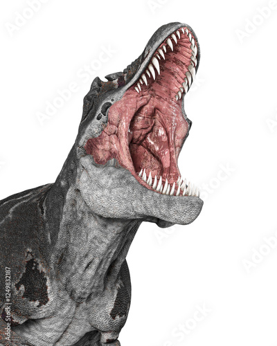 tyrannosaurus mcraeensis is doing a dominating roar in white background in side close up view photo