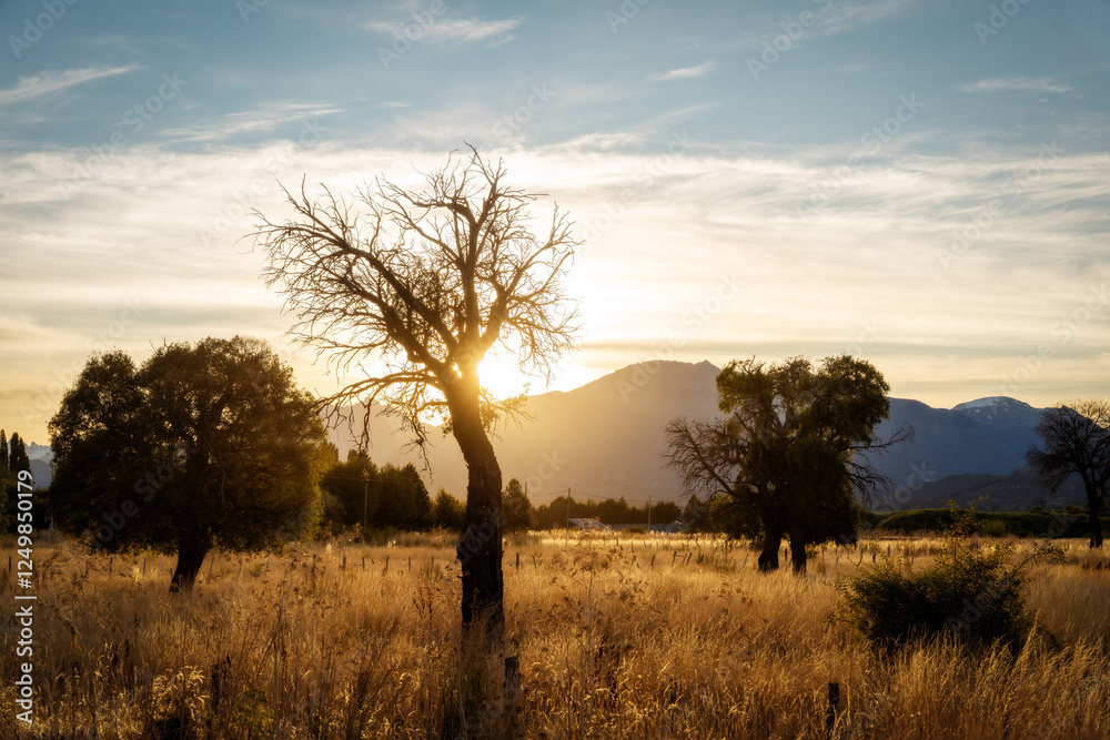 Golden Fields during Sunset in Patagonia Argentina