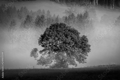 Obraz na płótnie Misty Morning in the Austrian Alps w salonie