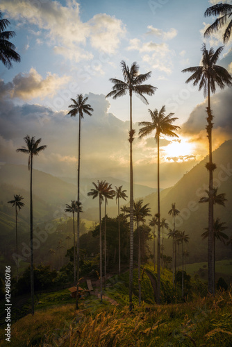 Cocora Valley in Colombia, South America