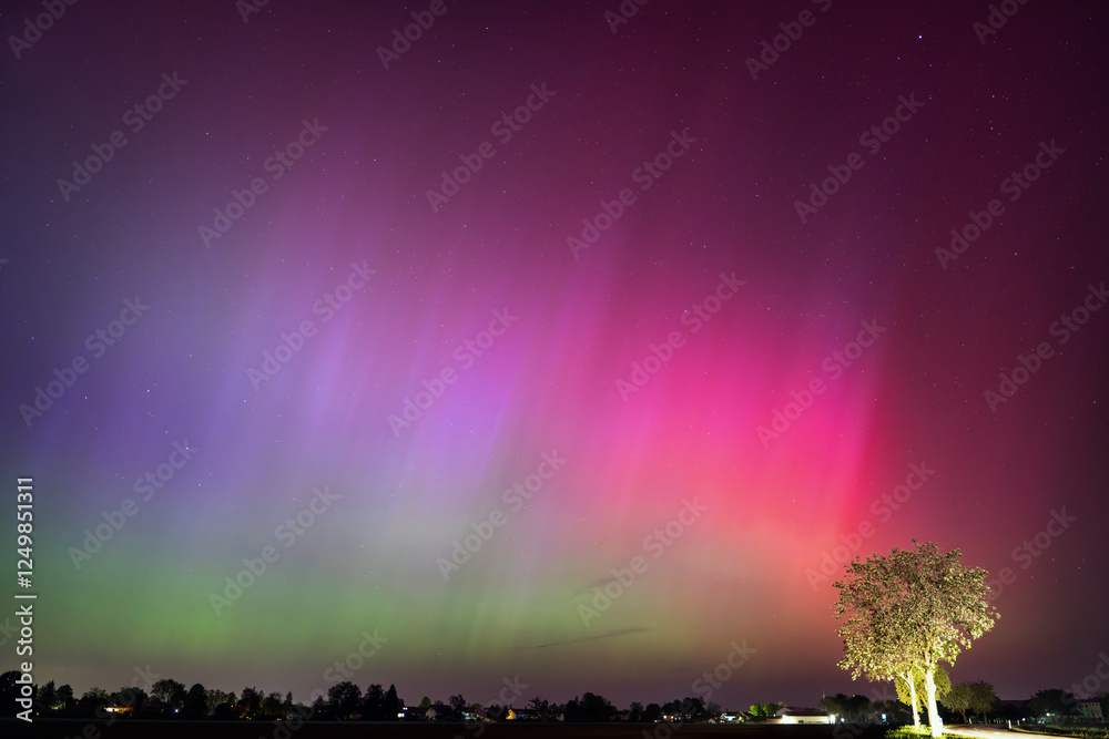 Northern Lights over Fields and Trees