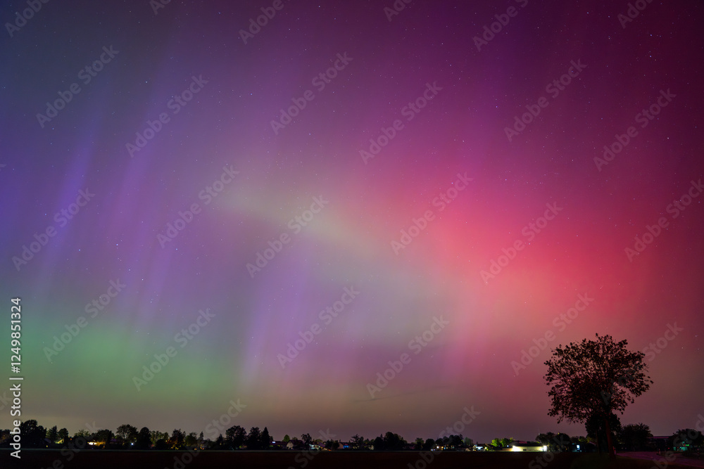 Northern Lights over Fields and Trees