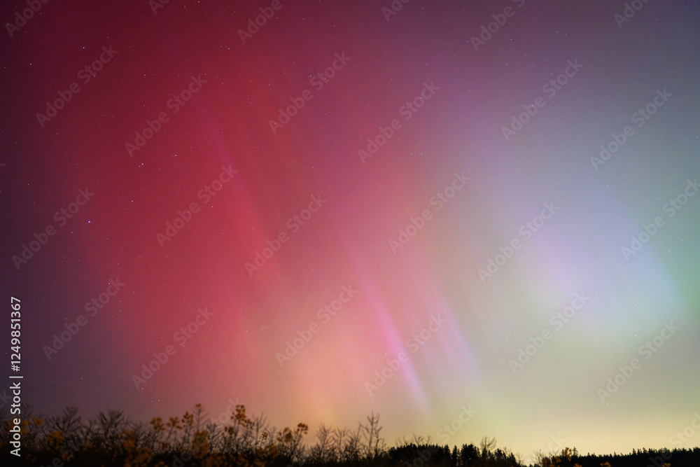 Northern Lights over Fields and Trees