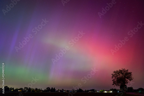 Obraz na płótnie Northern Lights over Fields and Trees w salonie