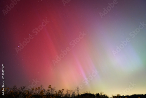 Obraz na płótnie Northern Lights over Fields and Trees w salonie