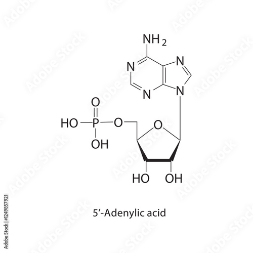 5’-Adenylic acid skeletal structure.Toxin compound schematic illustration. Simple diagram, chemical structure. photo