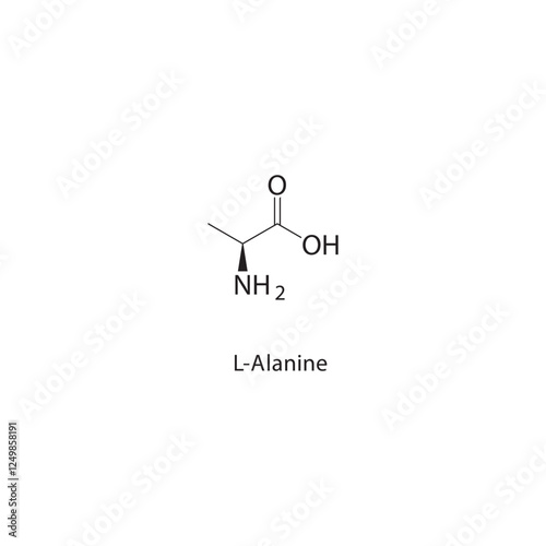 L-Alanine skeletal structure.Amino Acid compound schematic illustration. Simple diagram, chemical structure.