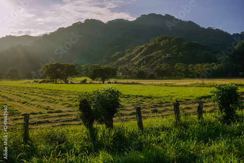 Field and mountains