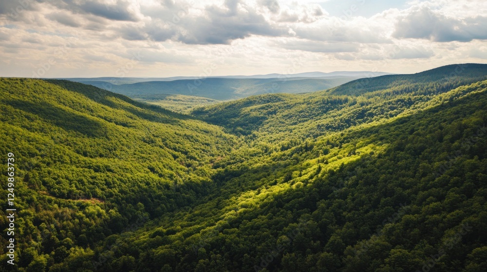Fototapeta premium Scenic Aerial View of Verdant Mountain Valley Under Cloudy Sky