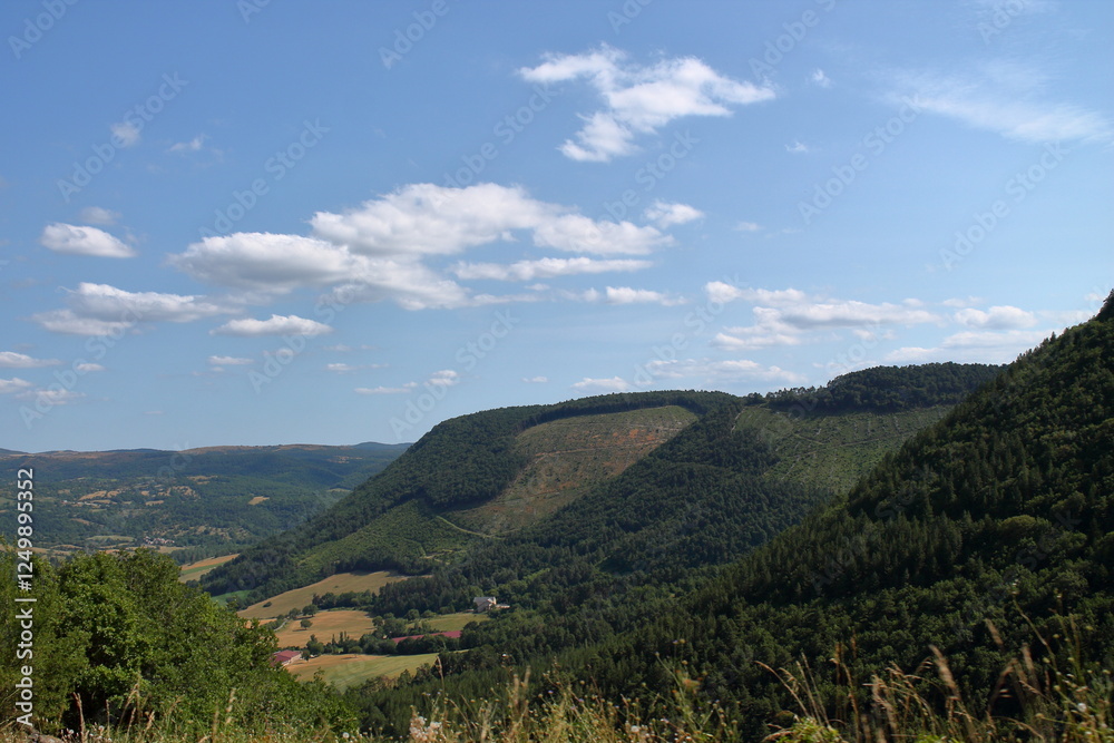 Naklejka premium france