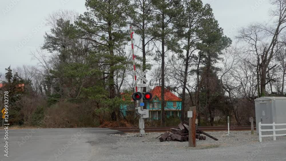 Flashing railroad safety signal at a crossing and a lowering gate to prevent cars and trucks from being struck by a fast train. Audio of a train horn. Flashing railroad safety signal at a crossing and a lowering gate to prevent cars and trucks from being struck by a fast train. Audio of a train horn.
