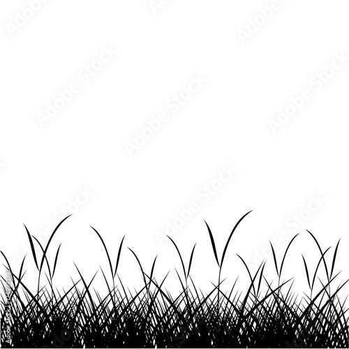 grass silhouette vector