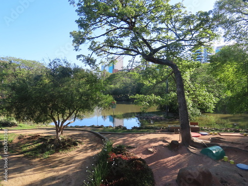 lake in the park