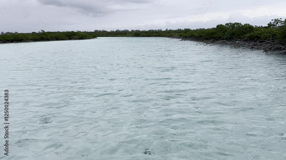 A tranquil turquoise lagoon surrounded by lush green mangroves under a cloudy sky creating a peaceful and tropical coastal scene in Bahamas concept of travel tourism nature A tranquil turquoise lagoon surrounded by lush green mangroves under a cloudy sky creating a peaceful and tropical coastal scene in Bahamas concept of travel tourism nature
