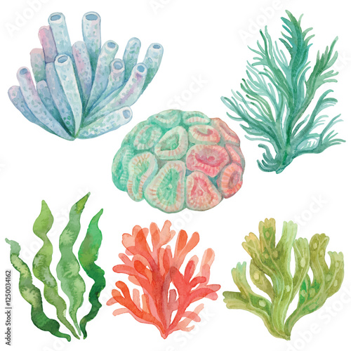 Elements vector of seaweed and coral isolated on white background hand drawn with watercolors