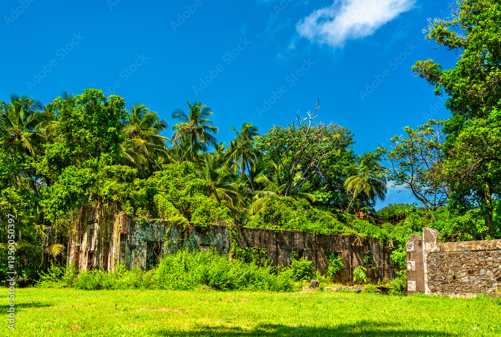 Obraz premium Old ruins of a penal colony in Saint Joseph Island, Salvation Islands, French Guiana, South America