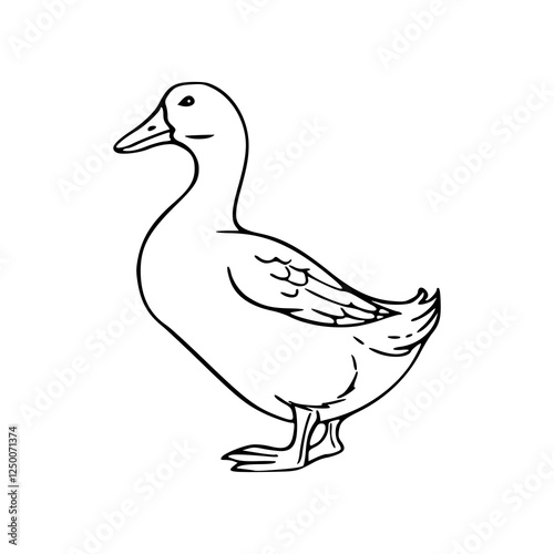 vector illustration of a duck coloring pages