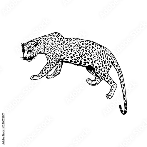dynamic jaguar line art with curled design