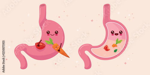 An illustration of two stomachs containing a colorful mix of carrots, tomatos and vegetables, emphasizing nutrition and health