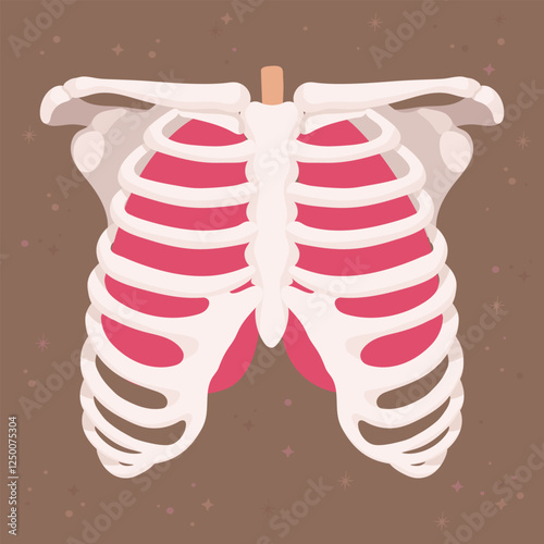 Illustration of Ribs and Lungs in a minimalistic cartoon design style for medical and educational