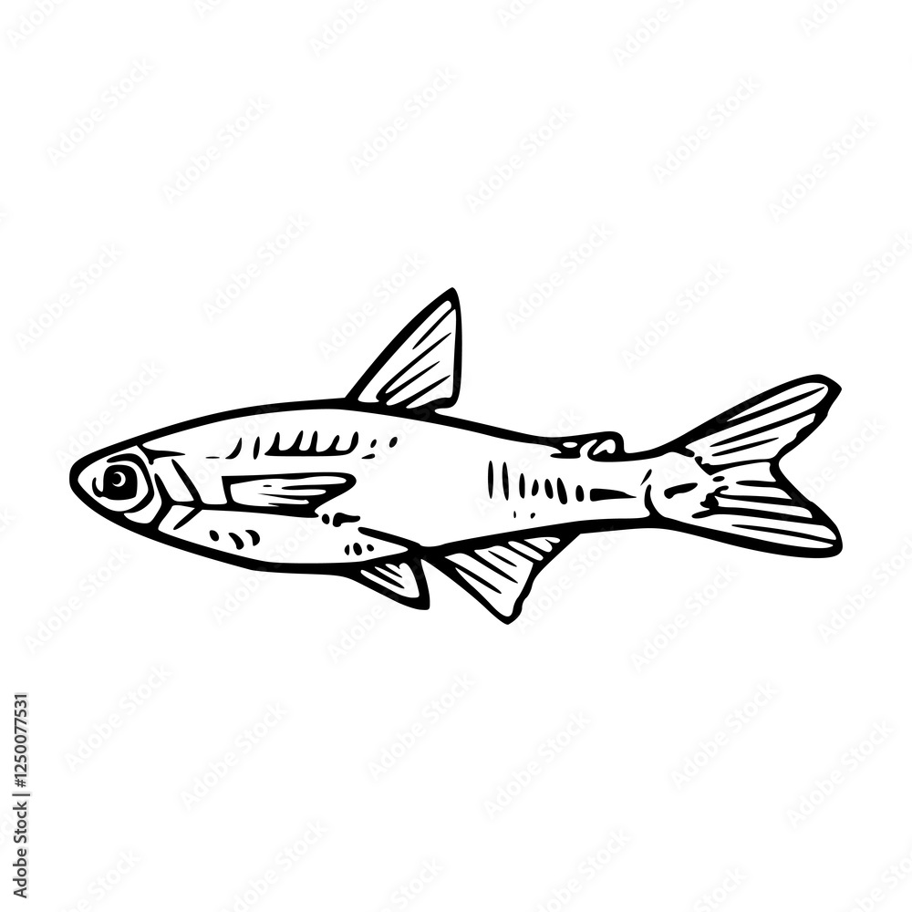 Fototapeta premium vector illustration of a fish