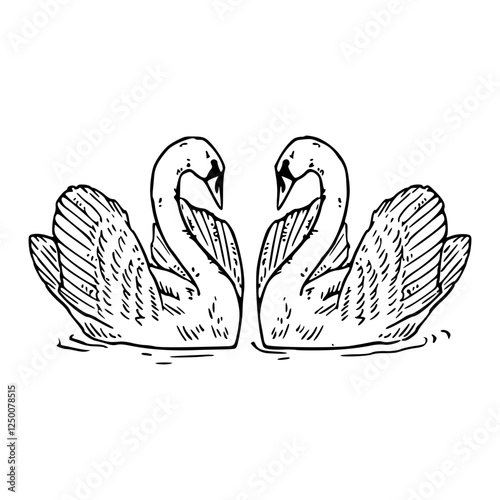 hand drawn vector illustration of a heart shaped swan