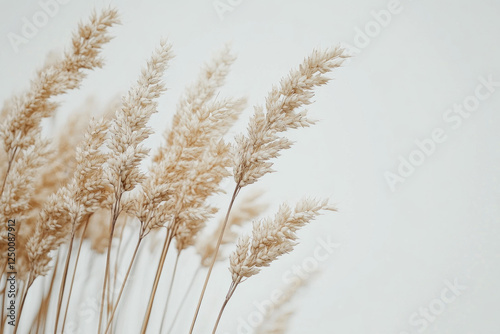 A vase containing dried grass, standing on a wooden table with a window behind casting warm sunlight, creating a peaceful and rustic centerpiece.