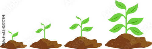 Growing Plants Illustration