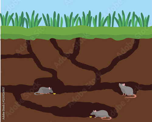 Mice in the burrows with holes tunnel into the ground