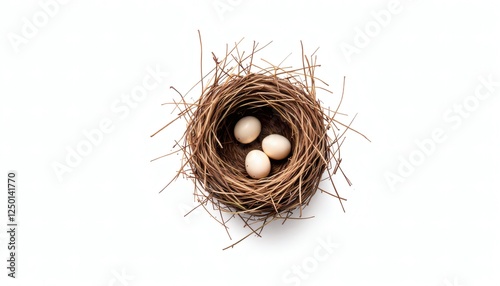 Intricately Crafted Bird's Nest with Eggs on White Background