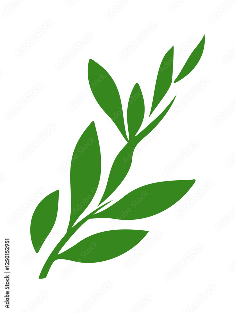 Fototapeta premium Green leaves branch illustration