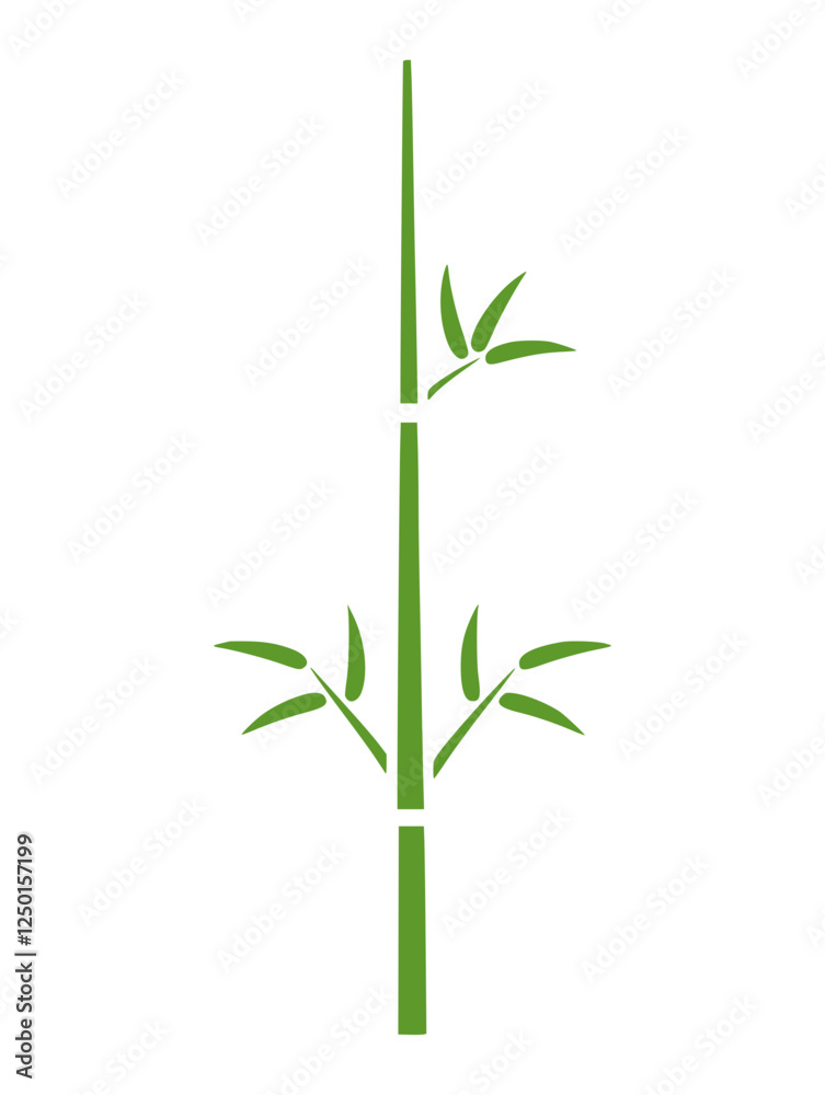 Fototapeta premium Simple Green Bamboo Illustration