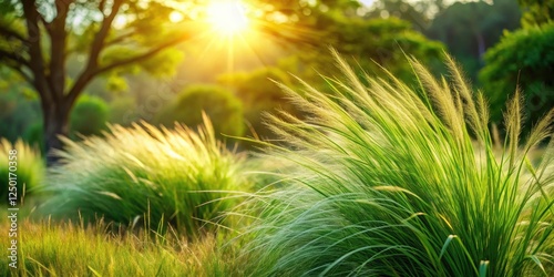 Mesilla Bosque Grasslands: Stunning High-Resolution Image of Native New Mexico Flora photo