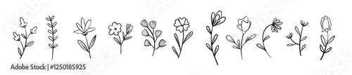 Hand drawn flower and branches doodle