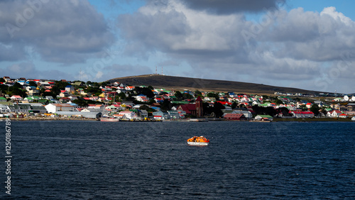 Port Stanley  falklands wild life photography photo