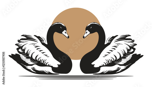 White swan animal vector