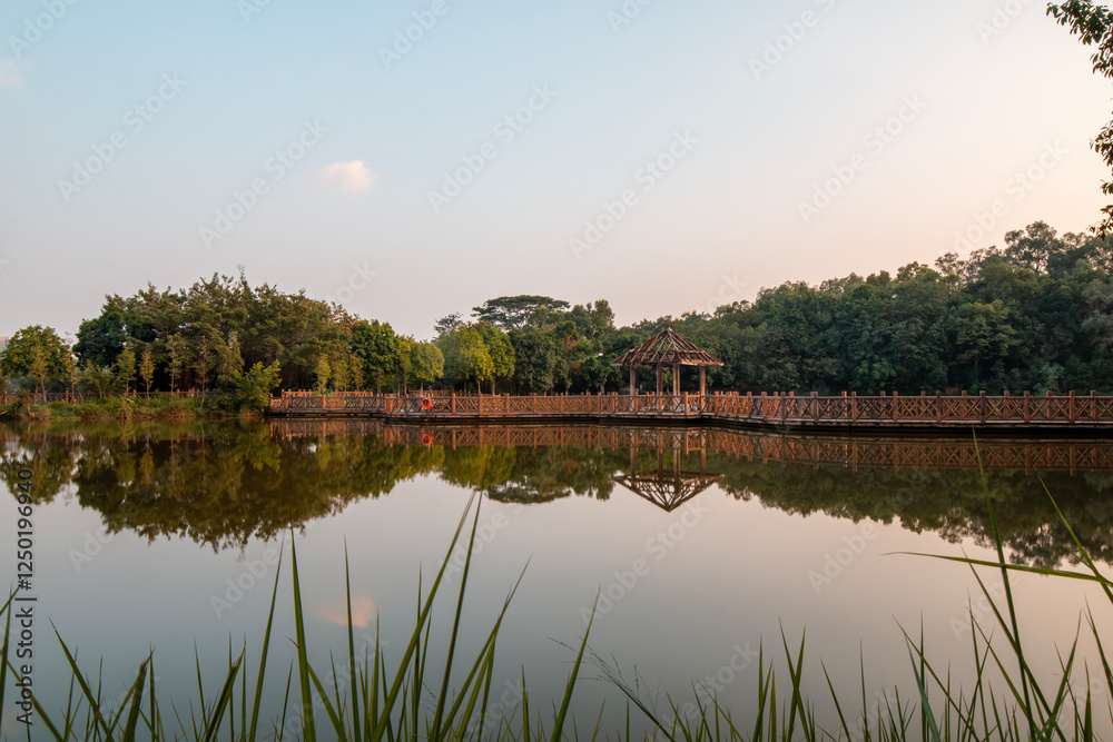 Fototapeta premium reflection of trees in lake