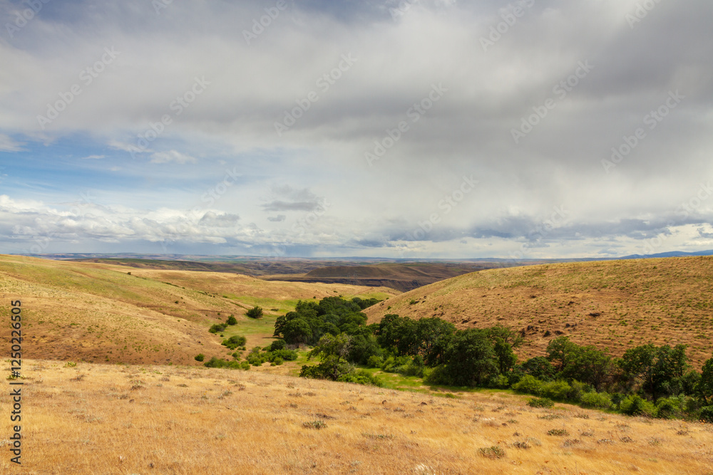 Fototapeta premium landscape with hills and valley