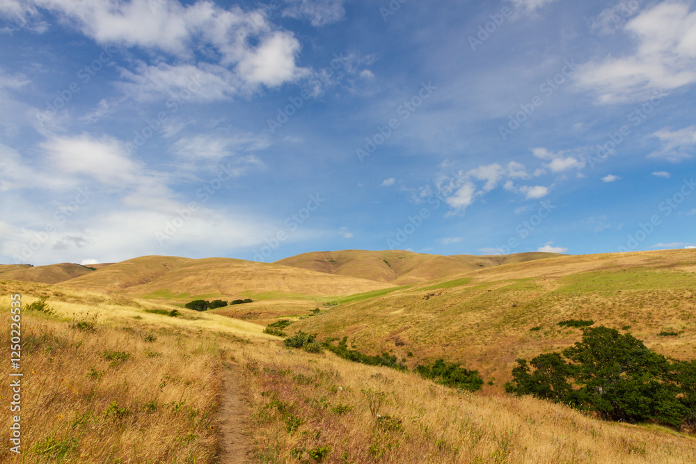 landscape with hills and blue sky landscape with hills and blue sky