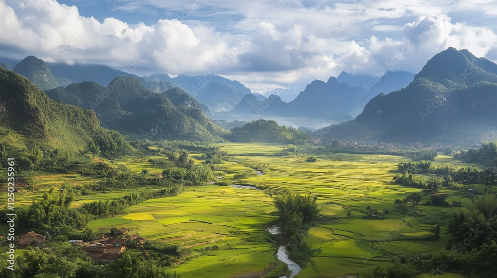 Fototapeta premium A large field with a river running through it