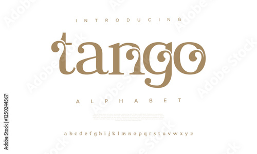 Tango typography beauty fashion elegant minimalist serif italic fonts decorative wedding vintage retro logos. Minimal luxury font alphabet logo. Vector illustration