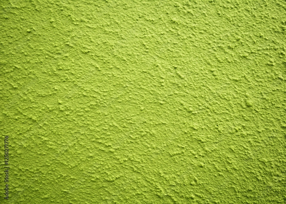 Sage Green Wall Background with Copy Space for Food Photography Sage Green Wall Background with Copy Space for Food Photography