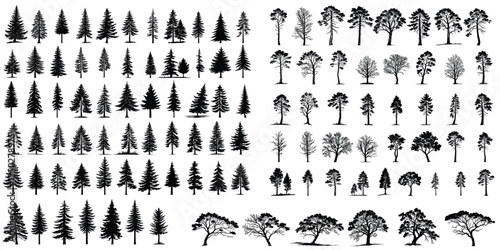 Mega Collection of Tree Silhouettes – Tree Vector Set of Diverse Woodland and Forest Trees