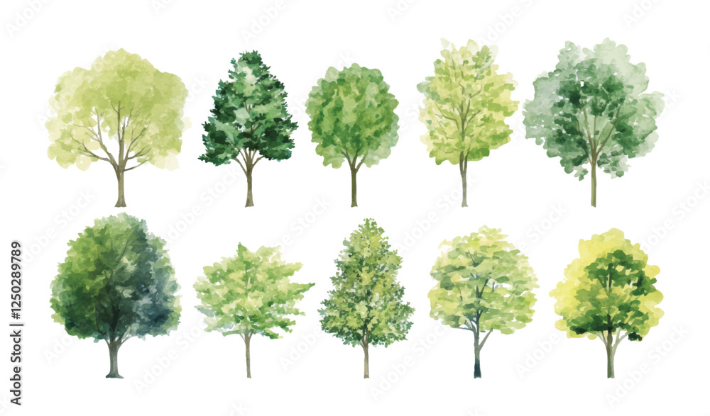 Botanical Vector Elements collection of watercolor-style vectors featuring blooming trees, and forests, ideal for environmental and garden designs