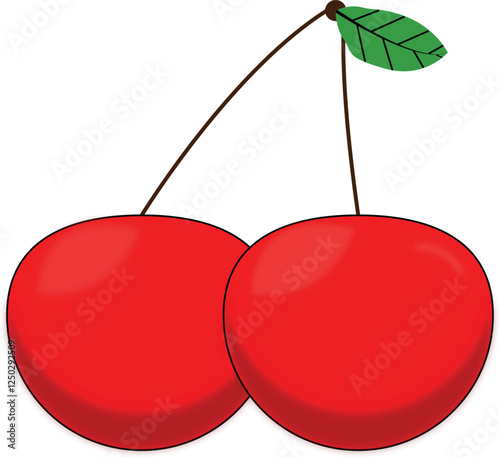 red cherry vector illustration
