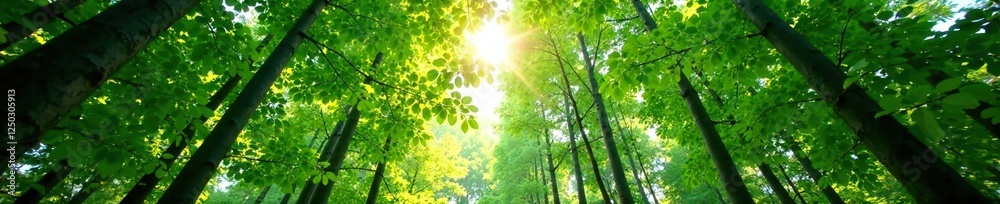Fototapeta premium Dappled light filters through the leaves of a towering vertical forest, leaves, through, nature
