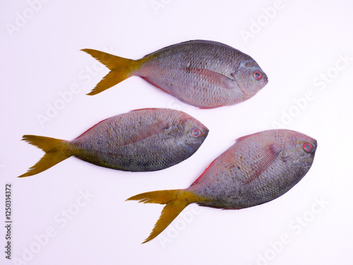 Ikan ekor kuning, Redbelly yellowtail fusilier fish isolated on white background, fresh fish