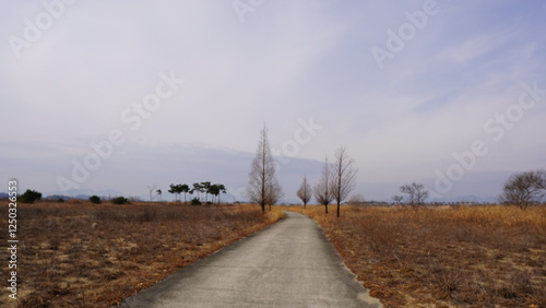 road in the fog