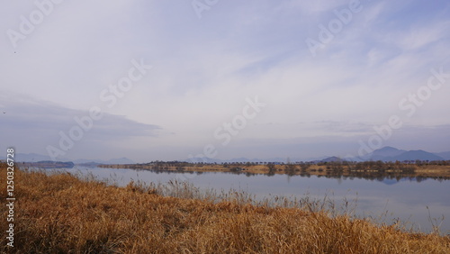 fog over the lake